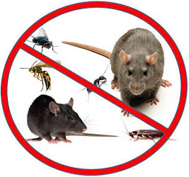 Best Pest control 24 Inc