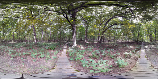 Nature Preserve «Thorn Creek Woods Nature Preserve», reviews and photos, 247 Monee Rd, Park Forest, IL 60466, USA