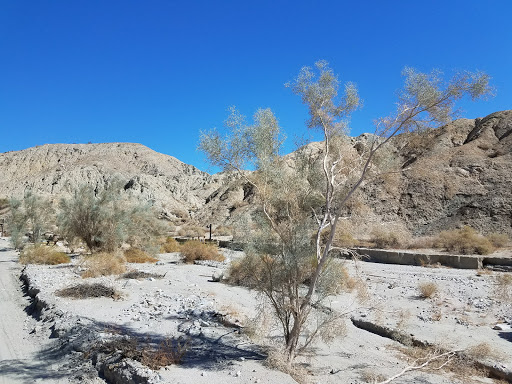 Wedding Venue «Desert Adventures Metate Ranch», reviews and photos, 38635 Monroe St, Indio, CA 92203, USA