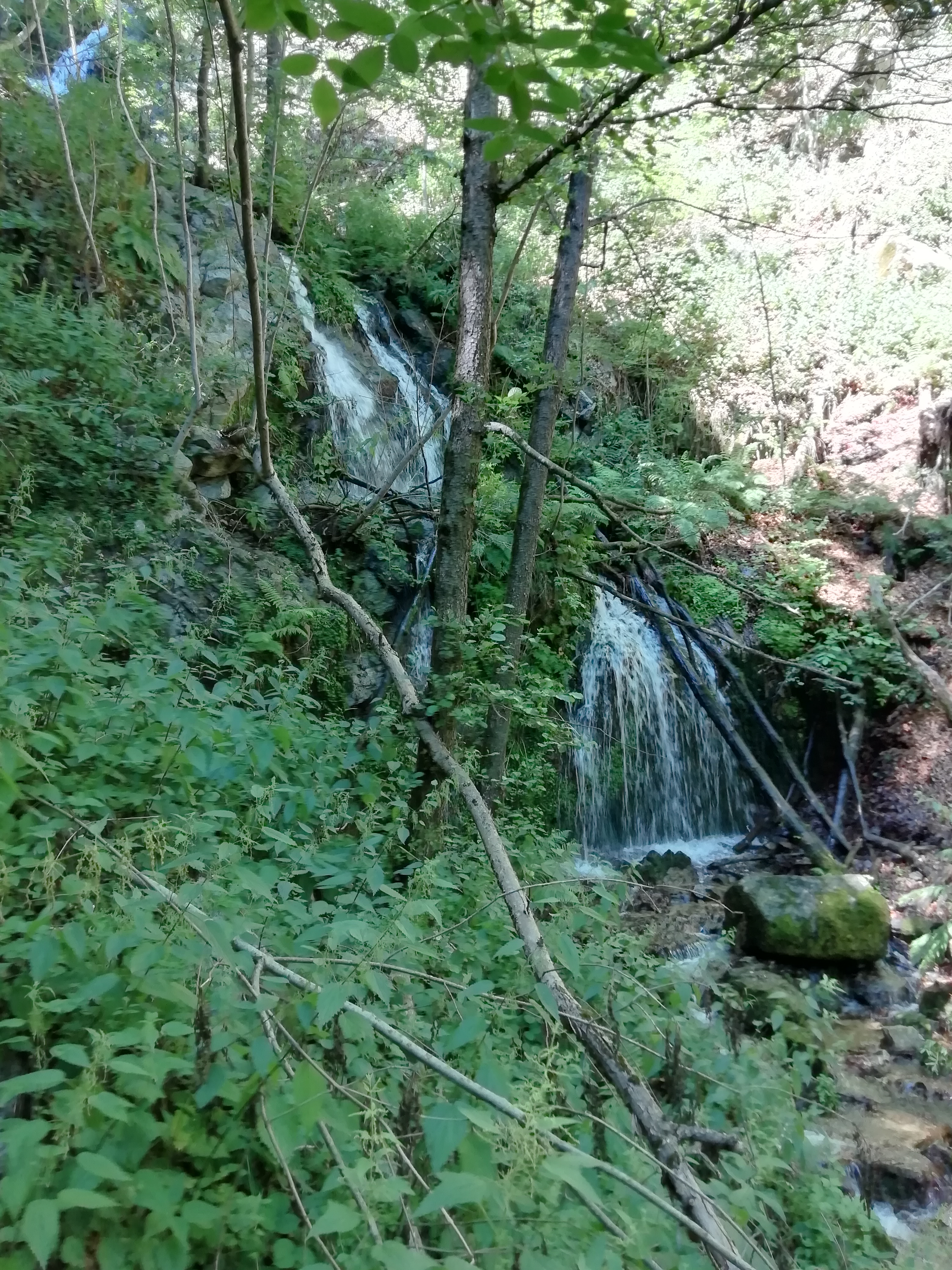 Photo n° 3 de l'avis de Tiphaine.a fait le 06/08/2022 à 15:43