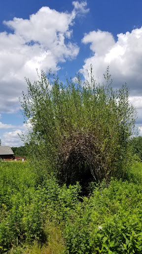 Nature Preserve «Audubon Greenwich», reviews and photos, 613 Riversville Rd, Greenwich, CT 06831, USA