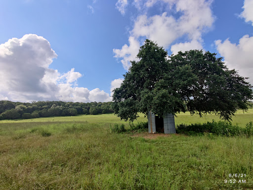 Nature Preserve «Joshua Springs Park and Preserve», reviews and photos, 716 Farm to Market 289, Comfort, TX 78013, USA