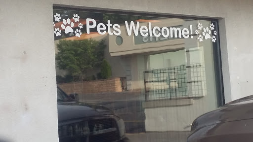 Pet Supply Store «Stately Pet Supply», reviews and photos, 515 S State St, Clarks Summit, PA 18411, USA