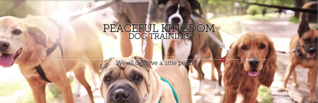 Peaceful Kingdom Dog Training