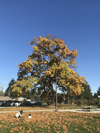 Park «Khunamokwst Park», reviews and photos, 5200 NE Alberta St, Portland, OR 97218, USA