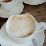 Photo n°1 de l'avis de Mariafrancesca.e fait le 29/04/2023 à 16:51 sur le  Crazy Cat Café à Milan