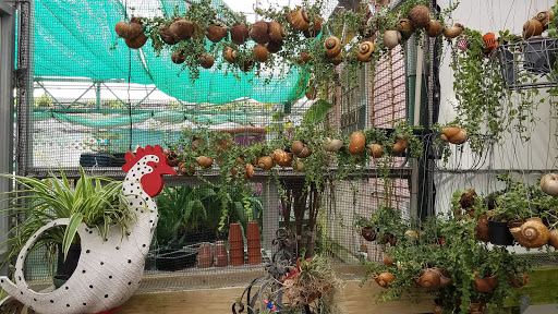 Florist «Thai-Rific Orchids Inc», reviews and photos, 5313 Gulfport Blvd S, Gulfport, FL 33707, USA