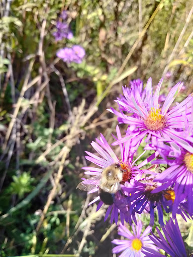 Park «French Regional Park», reviews and photos, 12605 Rockford Rd, Plymouth, MN 55441, USA