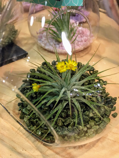 Grocery Store «Giant Food Stores», reviews and photos, 50 Wynnewood Rd, Wynnewood, PA 19096, USA