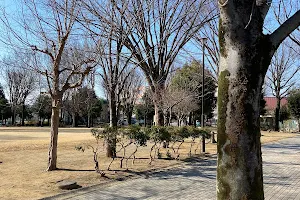 Ikeda Park image