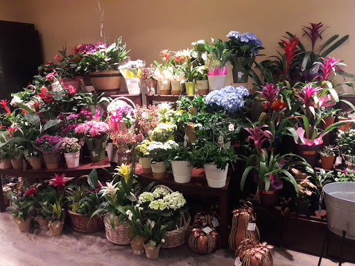 Grocery Store «Safeway», reviews and photos, 1235 Stratford Ave, Dixon, CA 95620, USA