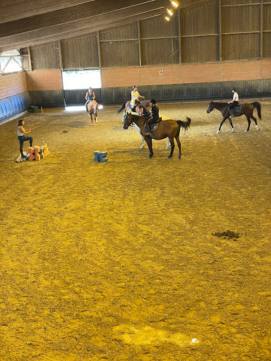 Horseback riding lessons Toulouse