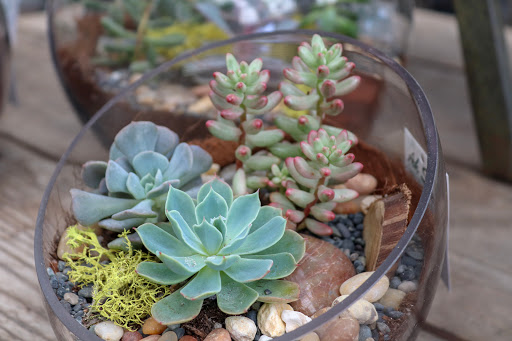 Florist «Ah Sam Florist», reviews and photos, 2645 S El Camino Real, San Mateo, CA 94403, USA