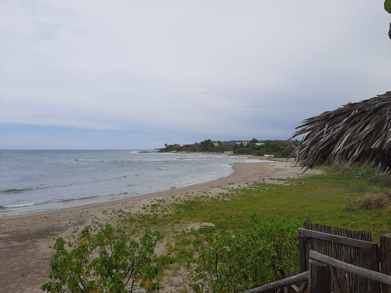 Photo of Treasure Beach II wild area