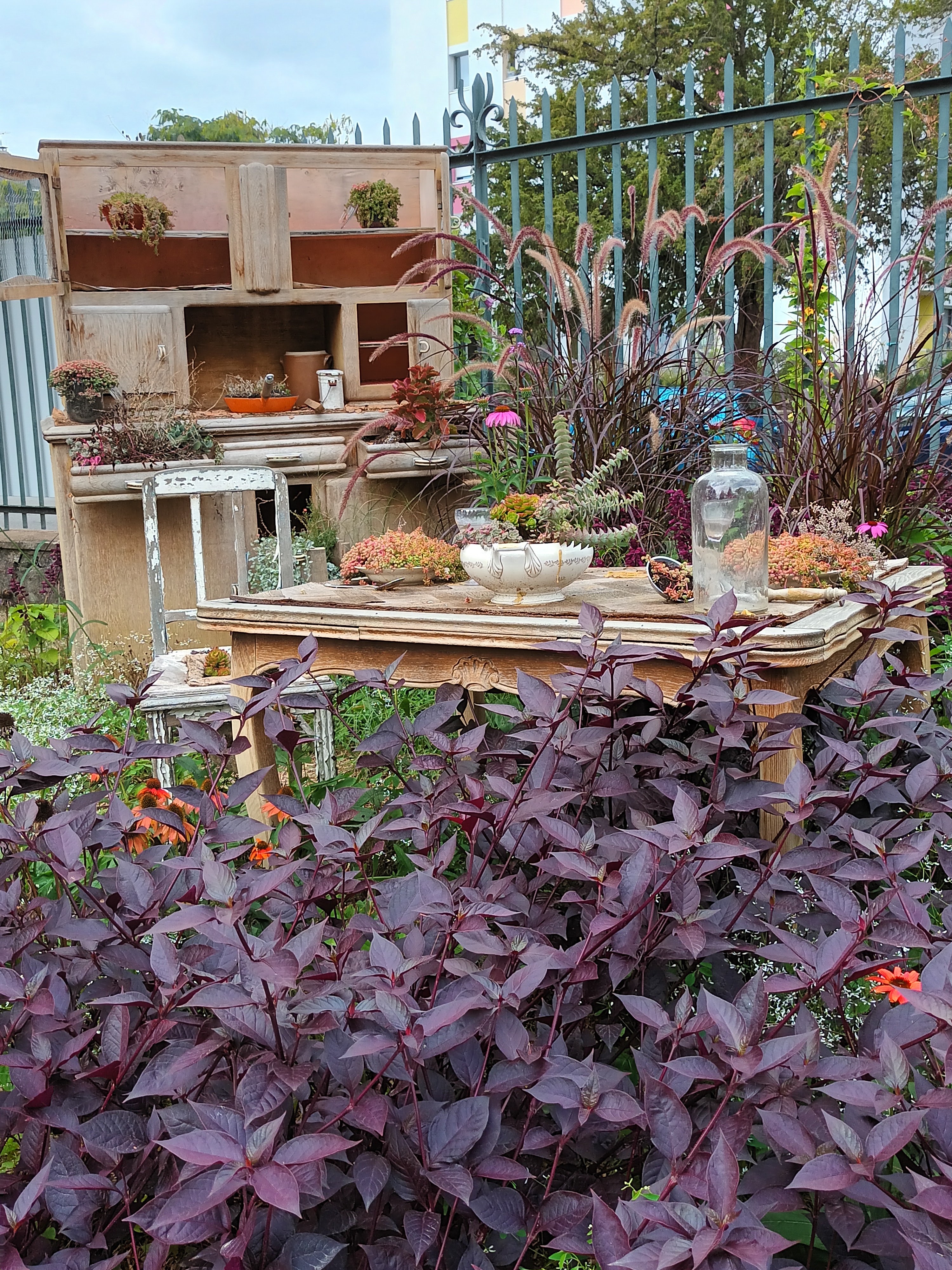 Photo n° 1 de l'avis de Zitou. fait le 08/10/2022 à 12:43
