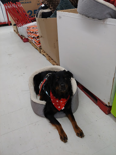 Shopping Mall «Hampton Plaza Shopping Center», reviews and photos, 4033 W Mercury Blvd, Hampton, VA 23666, USA