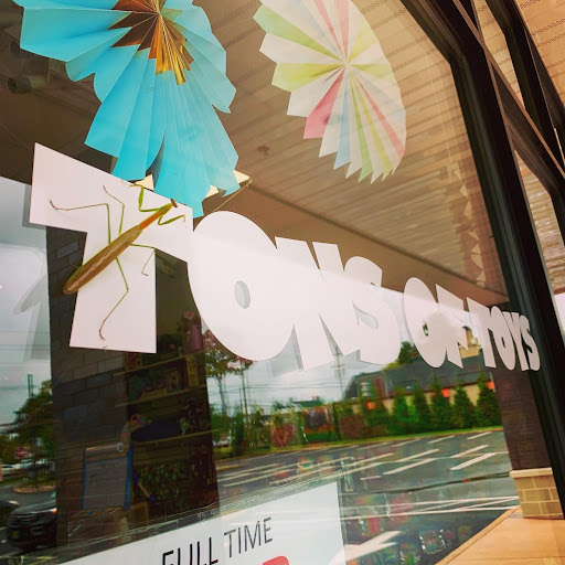 Toy Store «Tons of Toys», reviews and photos, 1 Mine Brook Rd, Bernardsville, NJ 07924, USA