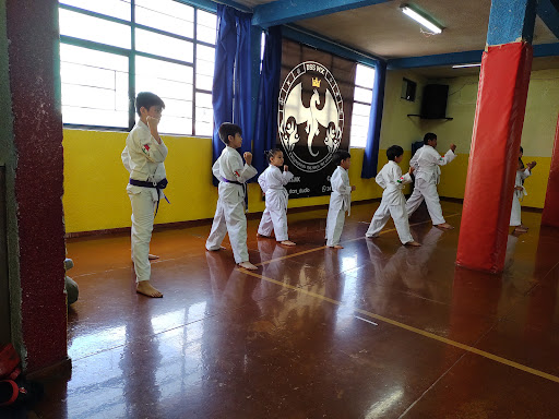 Instituto de Karate Shin Shi Do
