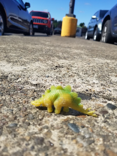 Grocery Store «Safeway», reviews and photos, 138 W Ellendale Ave, Dallas, OR 97338, USA