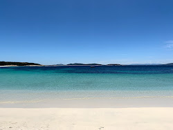 Frenchman Beach'in fotoğrafı - rahatlamayı sevenler arasında popüler bir yer