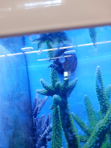 Pet Supply Store «Petco Animal Supplies», reviews and photos, 20825 I-30, Benton, AR 72015, USA