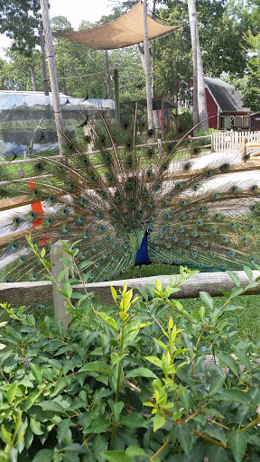 Golf Club «Stone Harbor Golf Club», reviews and photos, 905 U.S. 9, Cape May Court House, NJ 08210, USA