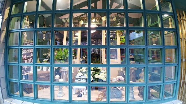 Imagen de Floristería Espacios Verdes (8 de 15)