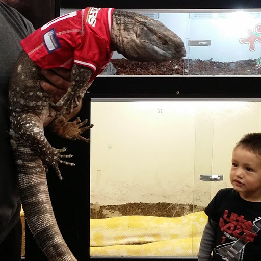 Reptile Store «Paramount Pet Entertainment - Reptile Parties & more!», reviews and photos, 8055 Rosecrans Ave #107, Paramount, CA 90723, USA