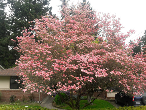 Park «Marine View Park», reviews and photos, 20945 Marine View Dr SW, Normandy Park, WA 98166, USA