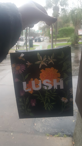 Cosmetics Store «Lush», reviews and photos, 1012 W 6th St, Austin, TX 78703, USA
