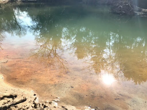 Nature Preserve «Spring Creek Forest Preserve», reviews and photos, 1770 Holford Rd, Garland, TX 75044, USA