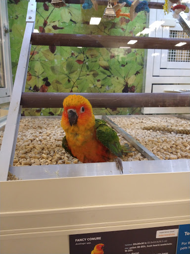 Pet Supply Store «PetSmart», reviews and photos, 11945 Central Ave, Chino, CA 91710, USA