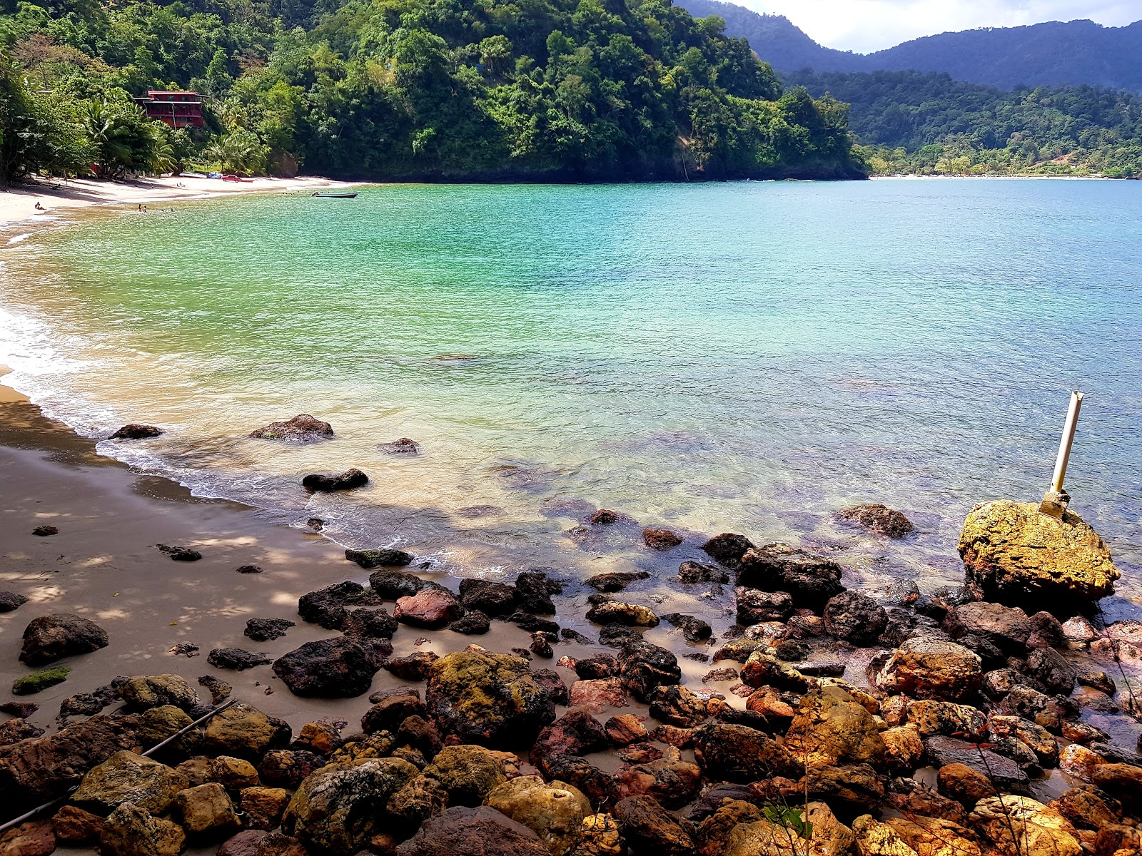 Foto de Damien Bay beach com areia bege de conchas superfície