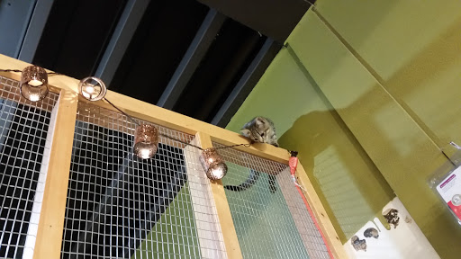 Pet Store «Next to Nature», reviews and photos, 4543 California Ave SW, Seattle, WA 98116, USA