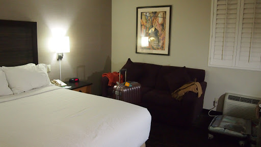 Holiday Inn Dublin-Pleasanton, an IHG Hotel image