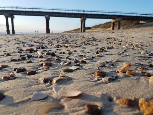 Pet Supply Store «Outer Barks - Water Front Shops», reviews and photos, 1240 Duck Rd, Duck, NC 27949, USA