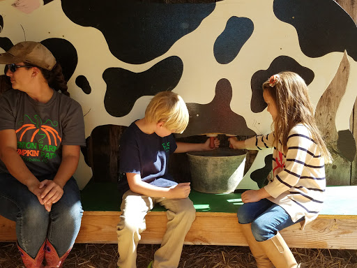 Tourist Attraction «Sugar Hill U-pick Farms», reviews and photos, 3595 Co Rd 59, Verbena, AL 36091, USA