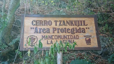 Photos of Lush Atitlan