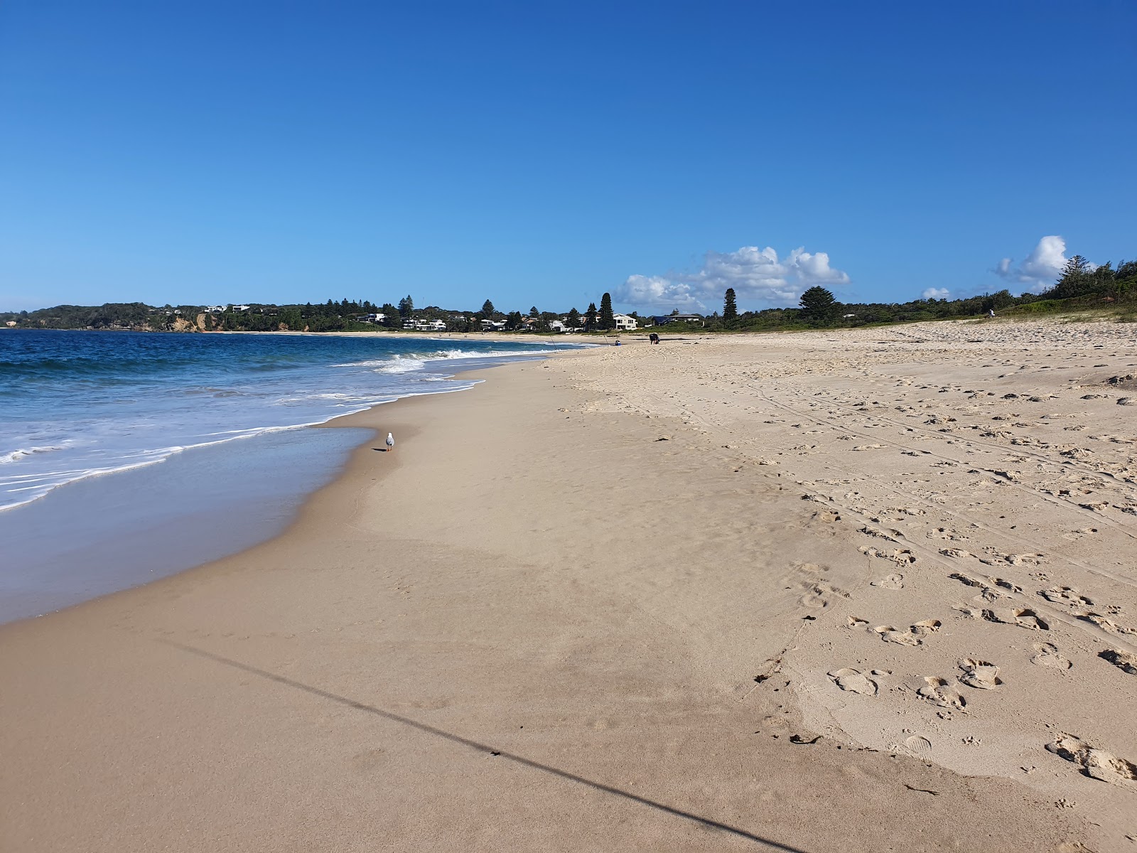 Photo of Hargraves Beach with bright fine sand surface