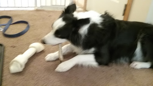 Pet Supply Store «Pet Food Plus», reviews and photos, 2819 E Hamilton Ave, Eau Claire, WI 54701, USA