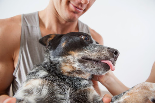 Yoga Studio «Spotted Dog Yoga», reviews and photos, 2780 E Bidwell St #300, Folsom, CA 95630, USA