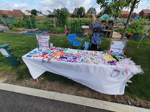 Tadpole Garden Village Allotments