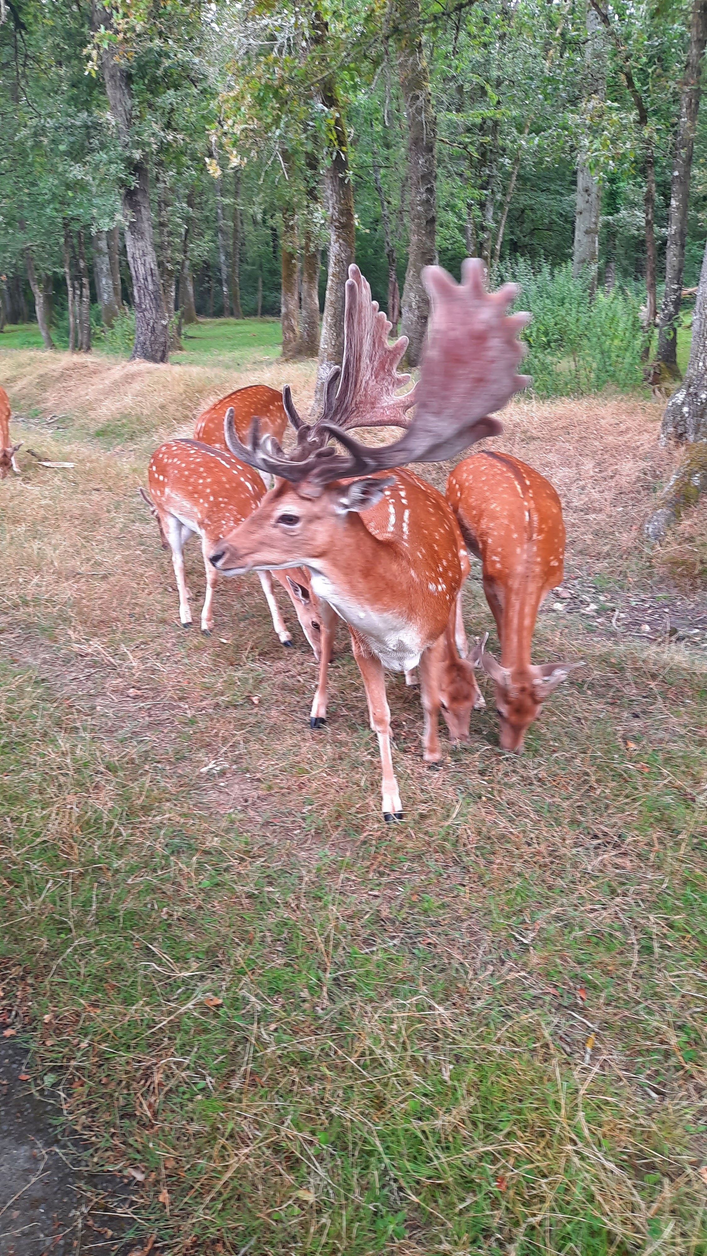 Photo n° 3 de l'avis de Caroline.h fait le 18/07/2023 à 18:21