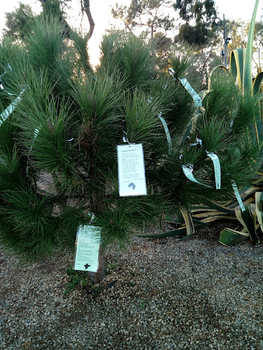 Fundação Prior Sardo