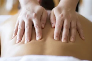 The Finer Touch Massage image