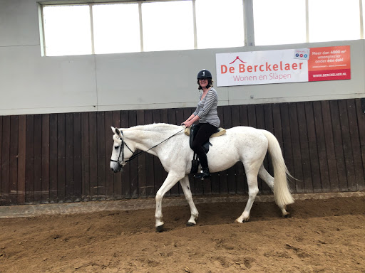 Horse riding schools Rotterdam