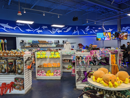 Aquarium «SeaQuest Interactive Aquarium Las Vegas», reviews and photos, 3528 S Maryland Pkwy #340, Las Vegas, NV 89169, USA