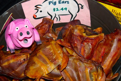 Pet Store «Mouthfuls Pet Supply Store», reviews and photos, 4224 Tennyson St, Denver, CO 80212, USA