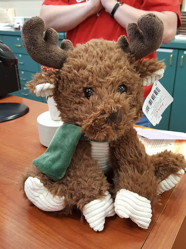 Book Store «LifeWay Christian Store», reviews and photos, 12689 Citrus Plaza Dr, Tampa, FL 33625, USA