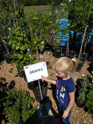 Hardware Store «Canyon Lake Ace Hardware», reviews and photos, 1150 FM2673, Canyon Lake, TX 78133, USA